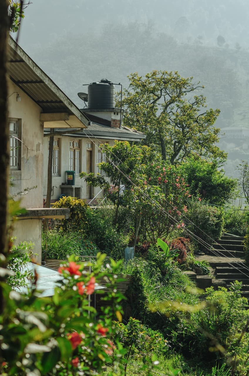 Превью Sri Lanka 2022